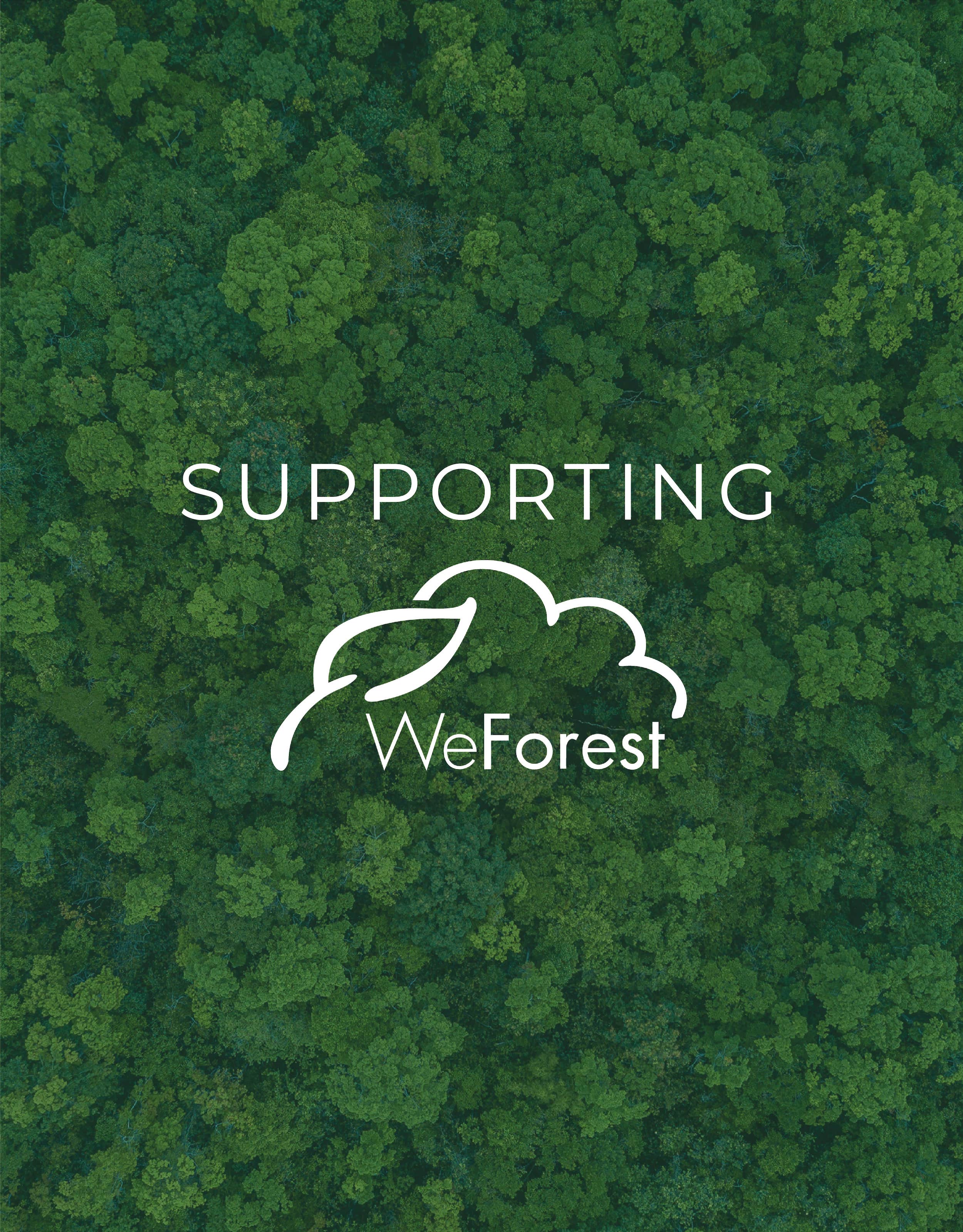 Supporting_WeForest-02-min.jpg