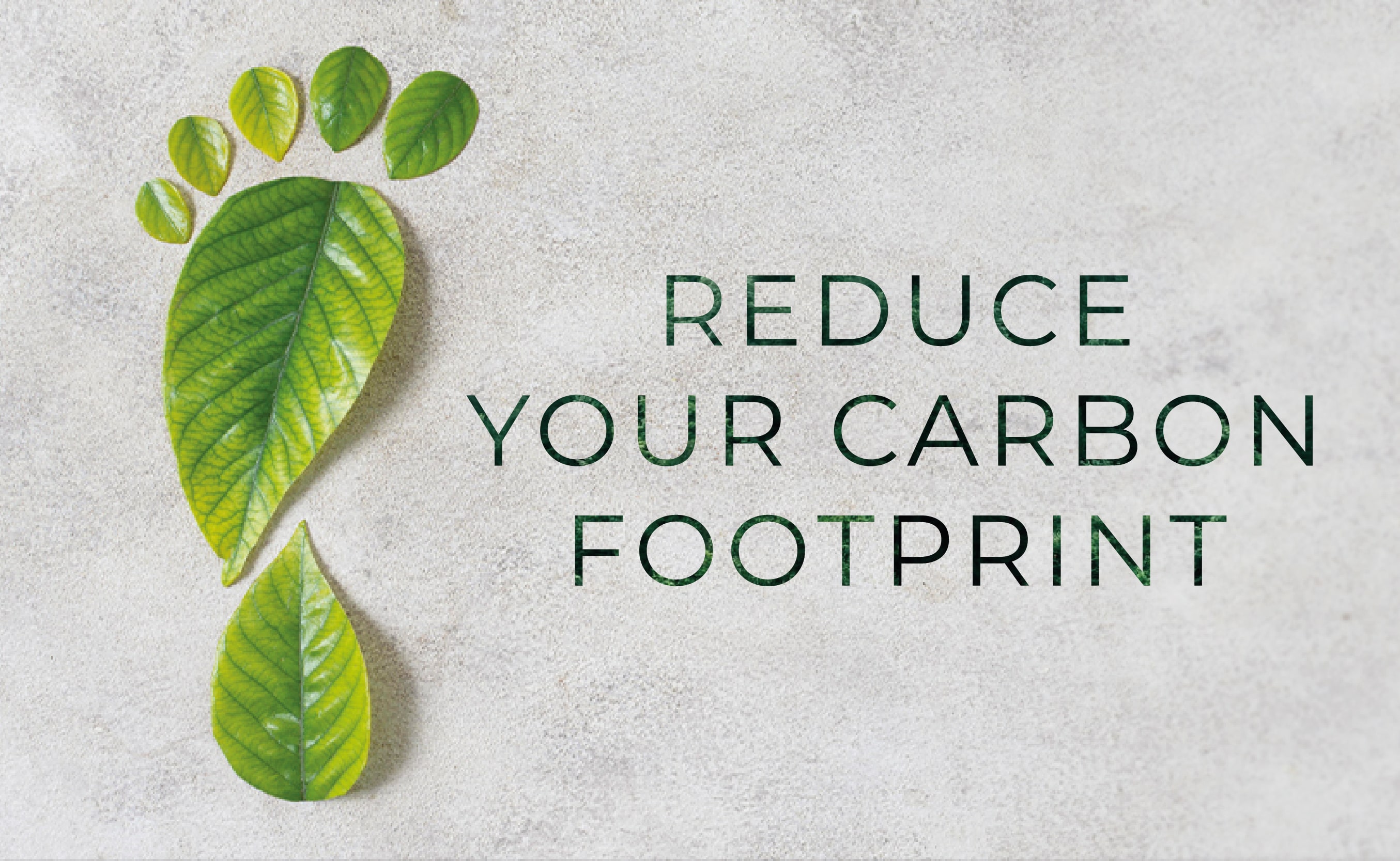 Reduce_Carbon_Footprint-03-min.jpg