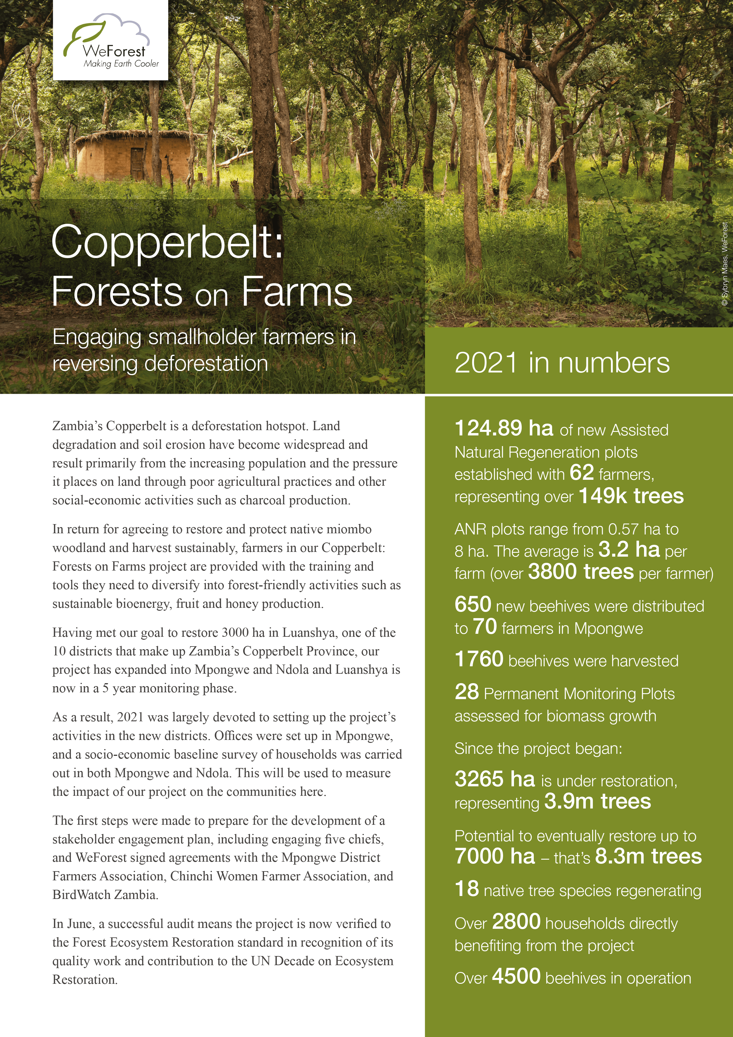 WeForestFullYear2021_Copperbelt_summary-min.png